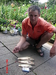 click for enlarge 480 X 640 166.6 Kb picture