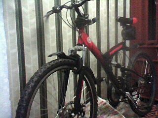 click for enlarge 640 X 480 77.5 Kb picture