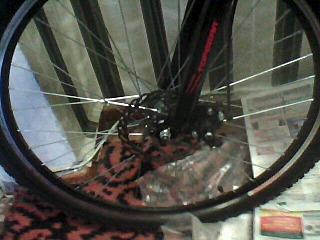 click for enlarge 640 X 480 73.4 Kb picture