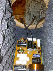 click for enlarge 1536 X 2048 798.5 Kb picture