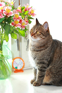 click for enlarge 1205 X 1795 311.6 Kb picture