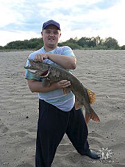 click for enlarge 360 X 480 36.7 Kb picture