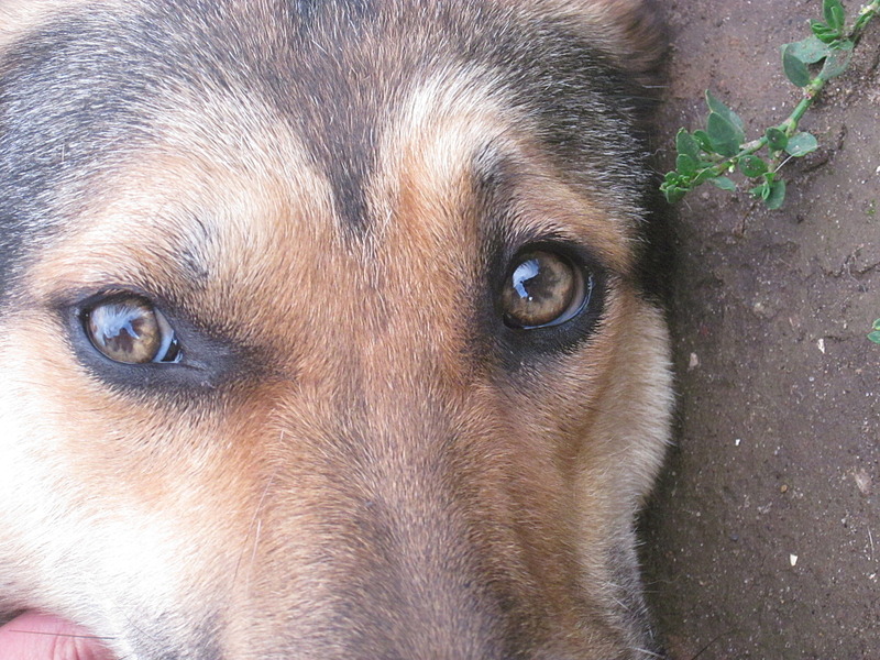 click for enlarge 1920 X 1440 798.7 Kb picture