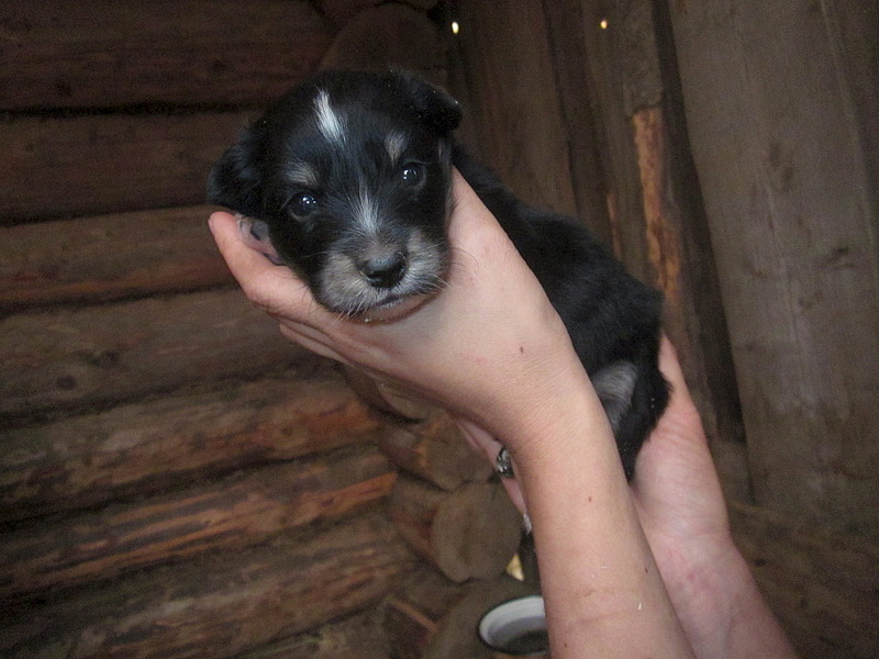 click for enlarge 1920 X 1440 655.9 Kb picture