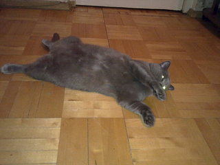 click for enlarge 1920 X 1440 267.1 Kb picture