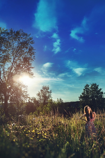 click for enlarge 683 X 1024 726.6 Kb picture