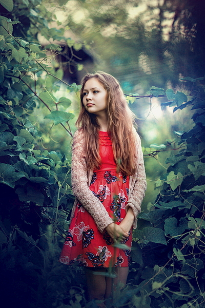 click for enlarge 1024 X 1536 216.8 Kb picture