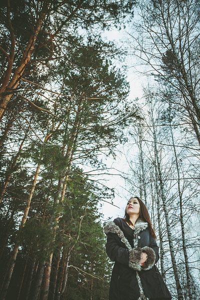 click for enlarge 688 X 1032 681.9 Kb picture