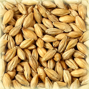 click for enlarge 350 X 350 119.8 Kb picture