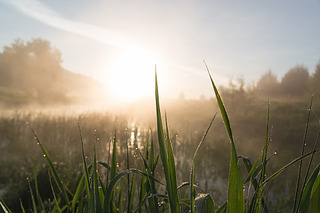 click for enlarge 1920 X 1280 315.9 Kb picture