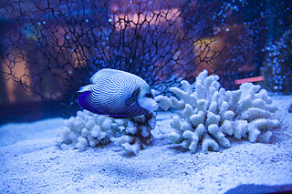 click for enlarge 1920 X 1280 852.6 Kb picture