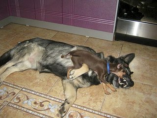 click for enlarge 604 X 453 64.4 Kb picture