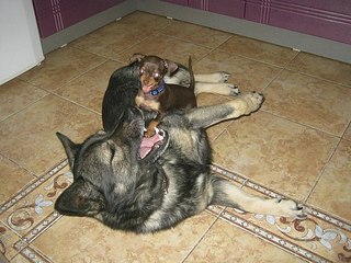 click for enlarge 604 X 453 66.8 Kb picture