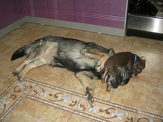 click for enlarge 604 X 453 66.9 Kb picture