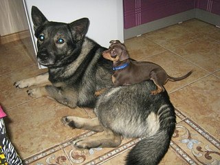 click for enlarge 604 X 453 64.8 Kb picture