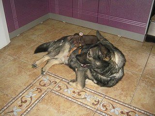 click for enlarge 604 X 453 67.4 Kb picture