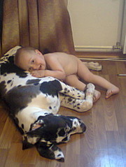 click for enlarge 375 X 500 43.7 Kb picture