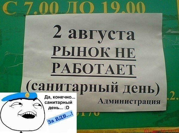 600 x 447