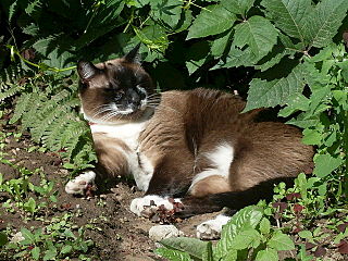 click for enlarge 640 X 480 99.7 Kb picture