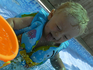 click for enlarge 1024 X 768 261.7 Kb picture