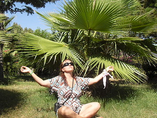 click for enlarge 1024 X 768 256.2 Kb picture