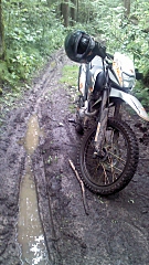 click for enlarge 540 X 960 454.6 Kb picture