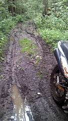 click for enlarge 540 X 960 447.9 Kb picture