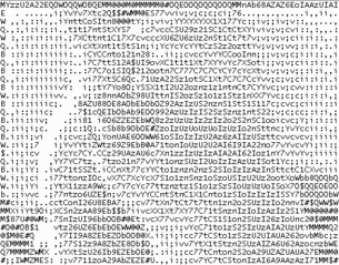 click for enlarge 492 X 386 503.7 Kb picture