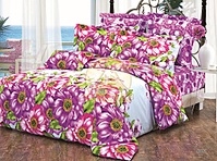 click for enlarge 1024 X 760 420.9 Kb picture