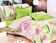 click for enlarge 800 X 609 531.6 Kb picture