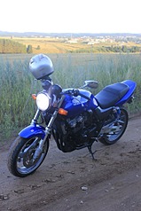 click for enlarge 682 X 1024 185.8 Kb picture