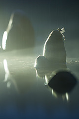 click for enlarge 801 X 1200 191.7 Kb picture
