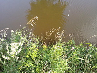 click for enlarge 1920 X 1440 1023.6 Kb picture