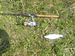 click for enlarge 1920 X 1440 706.4 Kb picture