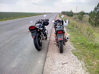 click for enlarge 1920 X 1440 954.0 Kb picture