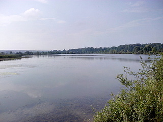 click for enlarge 1920 X 1440 746.7 Kb picture