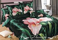 click for enlarge 500 X 340 37.5 Kb picture