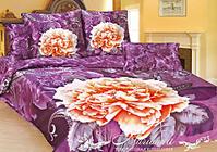 click for enlarge 500 X 351 45.7 Kb picture