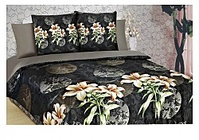 click for enlarge 500 X 352 87.9 Kb picture