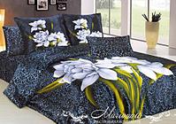 click for enlarge 500 X 351 47.8 Kb picture