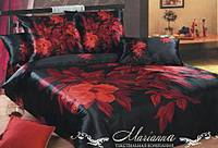 click for enlarge 500 X 340 29.0 Kb picture