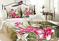 click for enlarge 500 X 351 44.7 Kb picture