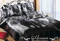 click for enlarge 500 X 340 32.8 Kb picture