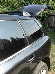 click for enlarge 1004 X 1344 368.6 Kb picture