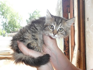 click for enlarge 1000 X 750 278.5 Kb picture