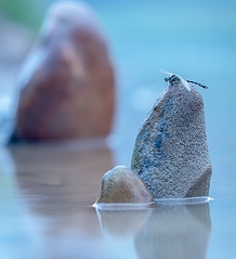 click for enlarge 801 X 880 192.7 Kb picture