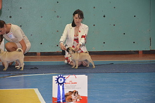 click for enlarge 1920 X 1281 509.8 Kb picture