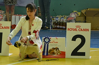 click for enlarge 1920 X 1280 631.5 Kb picture