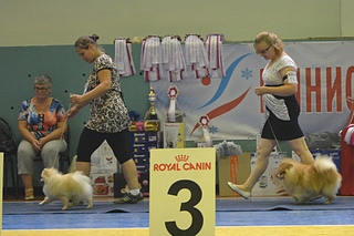 click for enlarge 1920 X 1280 817.1 Kb picture