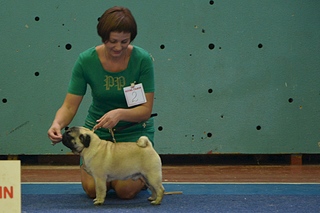 click for enlarge 1920 X 1280 814.3 Kb picture